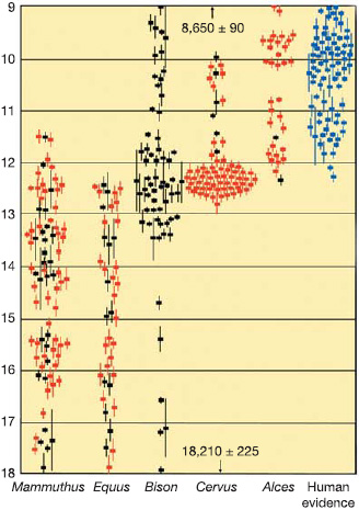 Радиоуглеродные датировки находок шести видов крупных млекопитающих Аляски и Юкона. Слева направо: мамонт, лошадь, бизон, олень, лось, человек. По вертикальной оси: возраст (тысяч лет назад). Черные значки — палеонтологические данные, взятые из литературы; красные значки — данные, добавленные автором; синие значки — археологические данные. Рис. из статьи в Nature