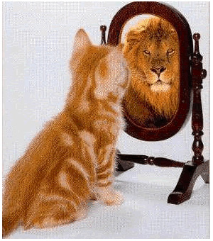 Умение правильно оценивать себя и свои поступки, по-видимому, распространено среди животных намного шире, чем было принято считать. Рис. с сайта www.bournemouthhypnotherapy.co.uk