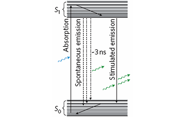 Рис. 5. Лазер на основе биологической клетки работает по принципу четырехуровневой системы. Зеленый флуоресцентный белок, находящийся в клетке, является квантовой системой. Схема его уровней представляет собой набор состояний S0, близко расположенных к основному, и такое же плотное множество возбужденных состояний S1. Рисунок из обсуждаемой статьи в Nature Photonics