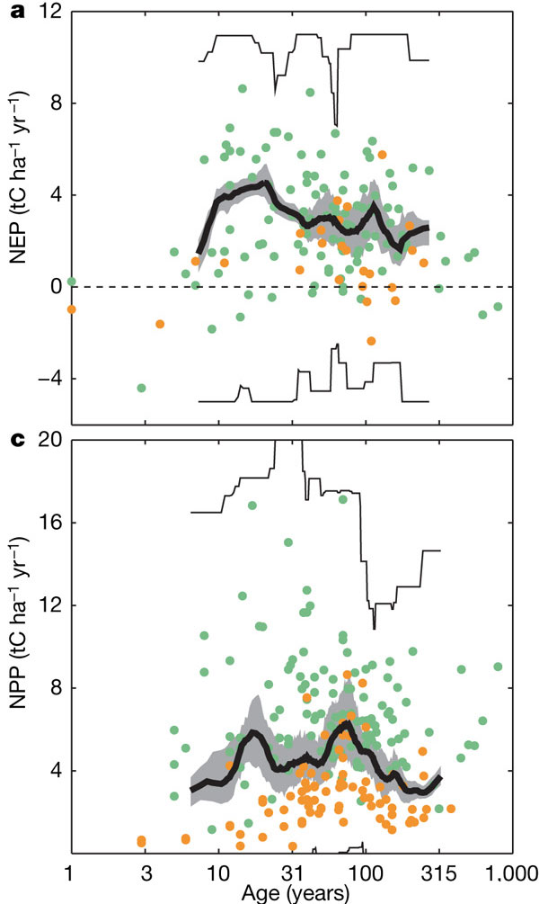 a — чистая продукция экосистемы леса (т C / га / год); c — чистая первичная продукция леса (т C / га / год) в зависимости от его возраста (годы). Обратите внимание, что шкала возраста леса — логарифмическая. Зеленые точки — умеренные леса; коричневые точки — бореальные леса. Толстая черная — скользящая средняя по 15 точкам. Область, выделенная серым, — доверительные границы средней (95%). Тонкие линии — доверительные границы индивидуальных наблюдений. Рис. из обсуждаемой статьи в Nature