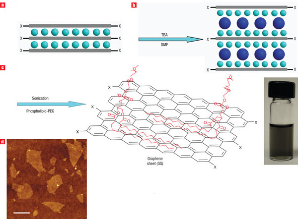 Рис. 3. Графеновые листы, химически полученные из раствора. (a) Схематическое изображение графита, расслаиваемого молекулами серной кислоты, внедренными в межплоскостное пространство. (b) Изображение интеркалированного графита с внедренными молекулами ГТБА (синие сферы). (с) Обработка графита, помещенного в химический раствор, ультразвуком для формирования графеновых листов. В сосуде показан раствор, в котором находятся графеновые листы после центрифугирования. (d) Изображение графеновых «чешуек» размером несколько сотен нанометров, полученное атомно-силовой микроскопией. Из обсуждаемой статьи Xiaolin Li et al. Highly conducting graphene sheets and Langmuir–Blodgett films