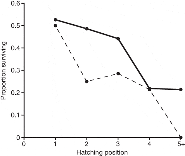 По вертикальной оси: доля выживших птенцов, по горизонтальной — день вылупления (начиная от момента, когда вылупился первый птенец). Сплошная линия — «родные» птенцы, пунктирная — подкидыши. График построен по результатам наблюдений за 35 выводками, в которых было в общей сложности 203 «родных» птенца и 62 подкидыша. Рис. из обсуждаемой статьи в Nature