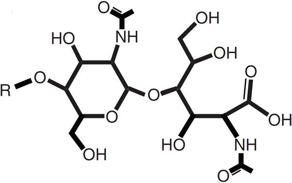 Рис. 4. Хитоолигосахарид с органической кислотой на конце — результат работы CBP21 (R — остаток хитиновой нити). Изображение из обсуждаемой статьи в Science