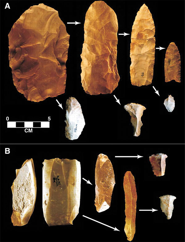 Типичные орудия культуры Кловис и этапы их изготовления: А — остроконечники, B — лезвия. Изображение из обсуждаемой статьи в Science