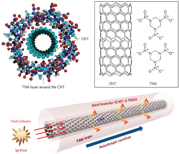 Рис. 1. Механизм химической реакции системы «углеродная нанотрубка—гексоген». Вверху — многостенная углеродная нанотрубка (CNT), обернутая в нанометровый слой гексогена (TNA): схематический рисунок (слева) и химическая структура (справа). Внизу — методика эксперимента и возникновение тепловых волн. Рисунки из обсуждаемой статьи в Nature Materials