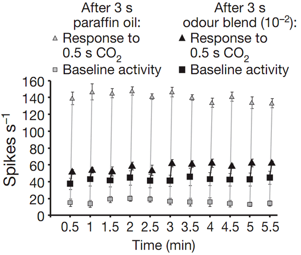 Рис. 1. После предъявления пахучей смеси в течение 3 секунд СО2-распознающие нейроны комаров Aedes aegypti практически не реагируют на углекислый газ. В то же время предъявление в течение 3 секунд парафинового масла не нарушает распознавание СО2. Изображение из обсуждаемой статьи в Nature