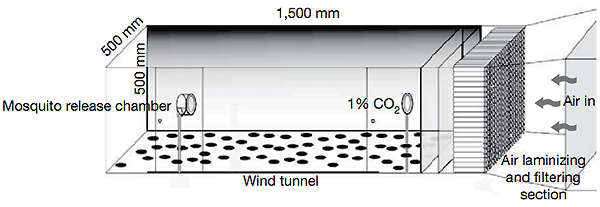 Рис. 2. Аэродинамическая труба, в которой тестировали способность самок комаров Aedes aegypti к поиску жертв после действия разработанной смеси. С одной стороны туда запускали комарих, а с другой дул ветер и находился источник углекислого газа. Изображение из обсуждаемой статьи в Nature