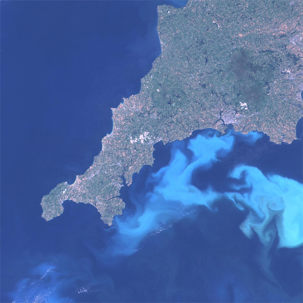 Районы цветения кокколитофорид хорошо видны из космоса — они похожи на молочно-белые разводы в океане. На снимке: цветение Emiliania huxleyi у юго-западного побережья Англии 30 июля 1999 года. Фото с сайта www.sanger.ac.uk