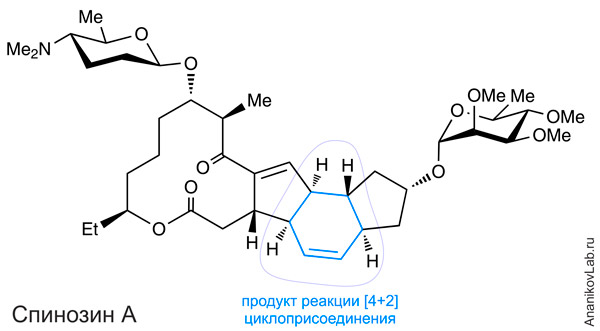 <b>Рис. 3.</b> Структура молекулы Спинозина А