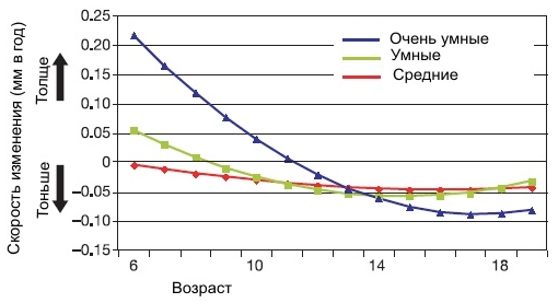 Скорость изменения толщины коры в правой верхней и средней лобных извилинах (где различия в динамике изменений наиболее выражены). Положительные значения соответствуют утолщению коры, отрицательные — утончению. Точка пересечения кривой с осью Х соответствует моменту, когда толщина коры максимальна (рис. из статьи в Nature)