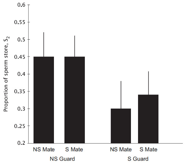 Рис. 2. Относительный вклад спермы второго самца, с которым копулировала самка. Сперма второго самца составляла почти половину от всей спермы в сперматеке, если после второй копуляции самку охранял неродственный самец (NS Guard), но этой спермы было достоверно меньше, если самку охранял брат (S Guard)