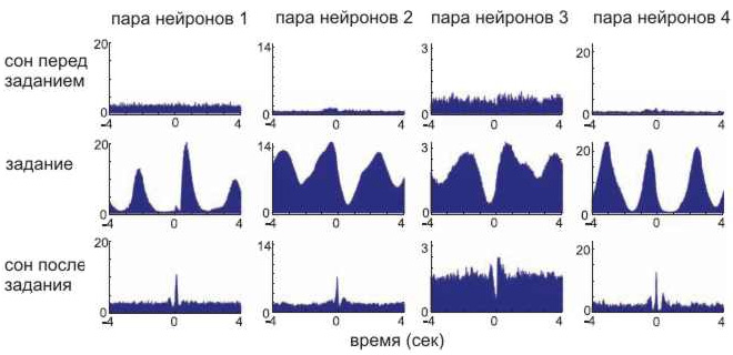 Четыре примера «кросс-корреляционного сравнения» работы пар нейронов во время выполнения задания и во сне. Рис. из обсуждаемой статьи в Science