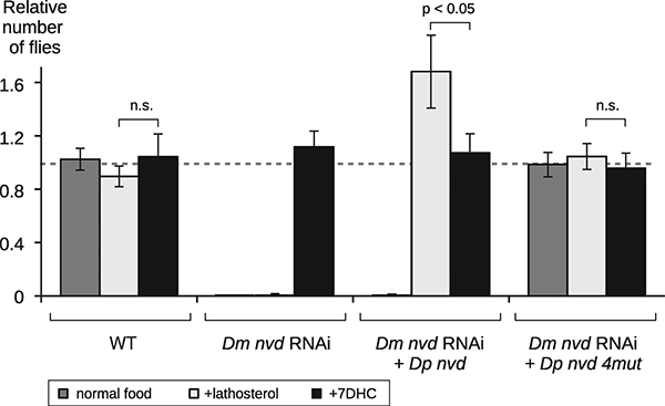 Рис. 3. Относительная выживаемость мух D. melanogaster на обычном корме (серые столбики), с добавлением латостерола (белые) и с добавлением 7DHC (черные)
