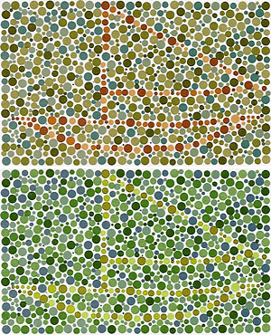 Если у вас нормальное зрение, то на верхней иллюстрации вы увидите кораблик. Если же у вас дейтеранопия, то он будет виден вам только на нижней картинке, в которой цвета было немного смещены при помощи Photoshop (исходный рисунок с сайта www.richmondeye.com)