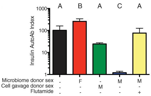 Рис. 7. Содержание антител к инсулину у различных групп подопытных самок мышей