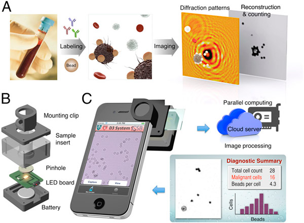 <b>Рис. 1.</b> Схема работы системы молекулярной диагностики