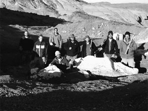 Команда Кеннета Лаковары на раскопках в Аргентине, докуда Дарвину оставался всего один день пути. Добыча ученых — почти полный скелет гигантского позднемелового (65 млн лет) динозавра. Фото с сайта drexel.edu