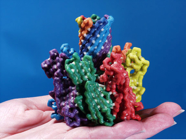 Молекула альфа-гемолизина