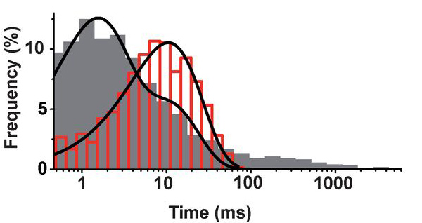 Распределение времени, когда канал открыт