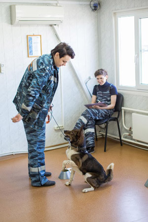 Собака нашла нужный контейнер