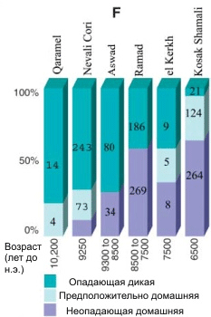 Так менялась доля дикой и культурной пшеницы по образцам из различных стоянок каменного века (рис. из статьи в Science)