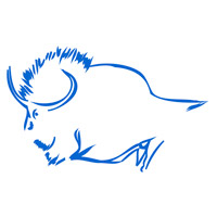 Наскальные рисунки бизонов