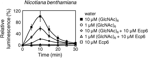 В присутствии Еср6 листья табака не производят «кислородного взрыва» в ответ на предъявление хитиновых остатков. Relative luminescence (%) — люминесценция, вызванная активными формами кислорода, усредненная на основании пяти экспериментов и нормализованная относительно контроля (листьев, на которые действовали чистой водой). (GlcNAc)6 — хитиновые остатки. Изображение из обсуждаемой статьи в Science