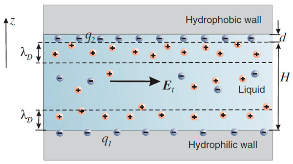 Рис. 2. Схематичное строение микроканала