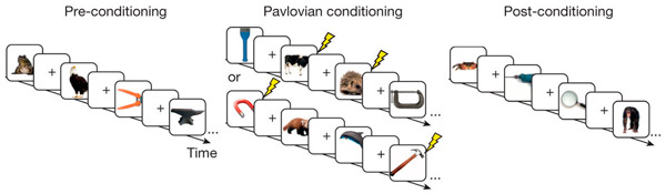 <b>Рис. 1.</b> Схема эксперимента