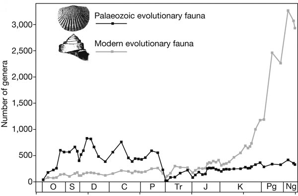 Рис. 1. Изменения родового разнообразия палеозойской ЭФ (черная линия) и современной ЭФ (серая линия) с ордовика до современности. По горизонтальной оси — геологическое время (идет слева направо). O — ордовик, S — силур, D — девон, C — карбон, P — пермь, Tr — триас, J — юра, K — мел, Pg — палеоген, Ng — неоген. По вертикальной оси — число родов. Рис. из обсуждаемой статьи в Nature