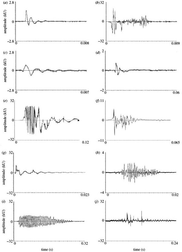 Рис. 1. Осциллограммы вибрационных сигналов, которые генерируются a) клопом, ступающим по паутине; b) листом, ударяющим о паутину; c) тлей, идущей по паутине; d) дрозофилой, идущей по паутине; e) при ударе тли о паутину; f) при ударе дрозофилы о паутину; g) самцом паука, идущим по паутине; h) самцом паука, издающим сигнал ухаживания; i) биениями крыльев тли; j) биениями крыльев дрозофилы. Рисунок из обсуждаемой статьи в Animal Behaviour