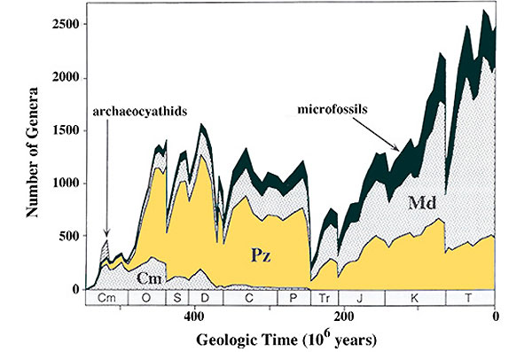 Число родов морских организмов. Разными цветами показаны эволюционные фауны: Cm — кембрийская, Pz — палеозойская, Md — современная. На схеме видно, что кембрийские животные продолжали существовать еще долго после бурной ордовикской радиации. Рис. с сайта madrimasd.org