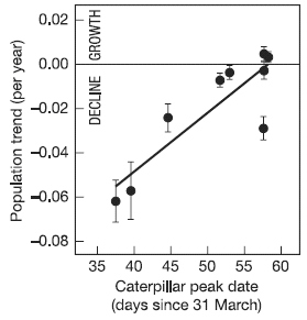 Скорость изменения численности популяции мухоловки-пеструшки за год в зависимости от даты (выражена в числе дней после 31 марта) пика численности гусениц — основного корма для птенцов. Скорость роста популяции, равная нулю, соответствует сохранению той же численности; меньше нуля — сокращению; больше нуля — росту популяции. Чем позже пик численности гусениц, тем меньше в этот год снижение численности популяции мухоловок. При самом позднем наступлении пика гусениц популяция мухоловок даже увеличивалась(правые верхние точки). График из статьи в Nature