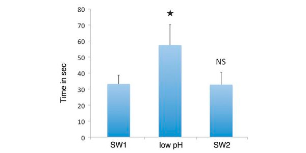 Рис. 2. Время, проведенное сомиками рядом с трубкой, в которую подавалась подкисленная вода