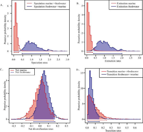 Рис. 2. Скорость видообразования (А), скорость вымирания видов (В), общее разнообразие видов (С) и частота переходов из морских вод в пресноводные и обратно (D) для морских (красный цвет) и пресноводных (синий) видов рыб подсемейства Menidiinae