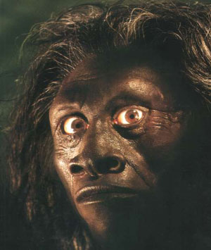 Реконструкция лица «хоббита» (из журнала National Geographic)