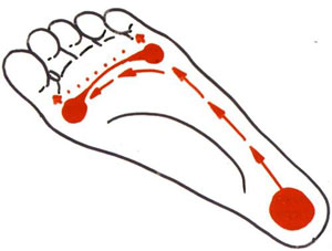 Последовательность распределения нагрузки на отдельные области стопы («перекат») при ходьбе. Рис. с сайта www.consilium-medicum.com