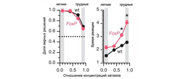 Рис. 3. Показатели поведения мух в экспериментальной камере