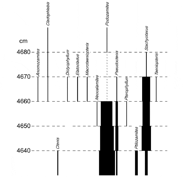 Рис. 4. Распространение родов растений в пятом (4630–4660) и шестом (4660–4690) слоях. Слева — шкала в сантиметрах от нижней границы осадочной толщи (абсолютный возраст слоев определить невозможно, поэтому приходится пользоваться толщиной осадочных отложений как грубой мерой времени). Толщина линий отражает обилие родов (число найденных листьев); самые тонкие линии соответствуют одному листу. Видно, что на рубеже 4650–4670 см происходит резкая смена флоры: старые роды исчезают или резко сокращают свою численность, и на смену им приходит множество новых родов. Это, собственно, и есть «великий биосферный кризис на рубеже триаса и юры». Рис. из дополнительных материалов к обсуждаемой статье в Science
