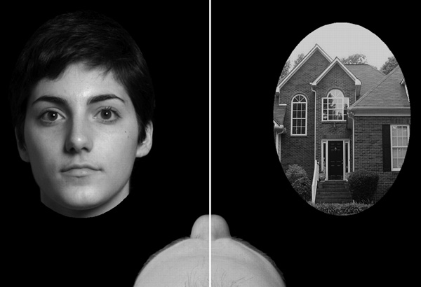 Бинокулярное соперничество. Если при помощи стереоскопа представить левому и правому глазу два разных изображения, то на сознательном уровне в каждый момент времени, как правило, будет восприниматься только одно из них. Рисунок из обсуждаемой статьи в Science