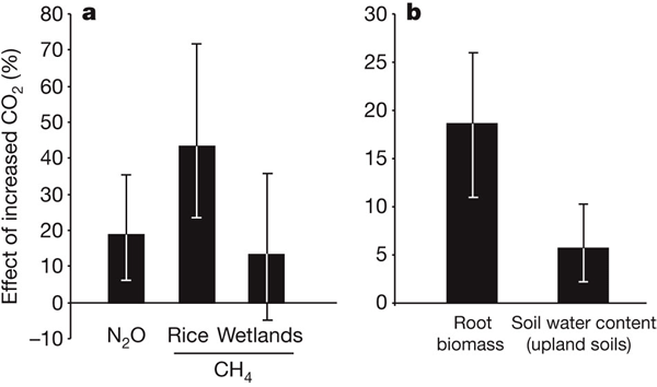 Влияние повышения концентрации СО<sub>2</sub> в воздухе на выделение из почвы закиси азота и метана Из обсуждаемой статьи в Nature