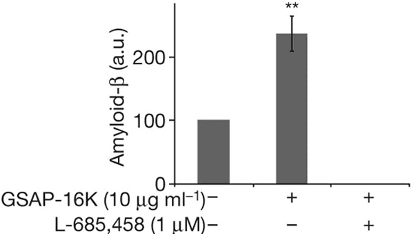 Рекомбинантный GSAP-16К из клеток E. Coli стимулирует производство бета-амилоида in vitro. То, что этот эффект исчезает в присутствии ингибитора гамма-секретазы L-685,458, подтверждает, что работа GSAP связана с гамма-секретазной активностью. a. u. — arbitrary units, условные единицы. **P < 0,01. Изображение из обсуждаемой статьи в Nature