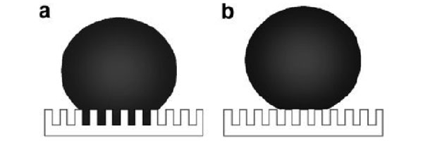 Рис. 3. Основные состояния капли на сверхгидрофобной поверхности: а — состояние Венцеля; b — состояние Кассье. Шероховатости поверхности моделируются как сетка из микро- или наноскопических столбиков. Рисунок из статьи «Definition of Superhydrophobic States» в Advanced Materials