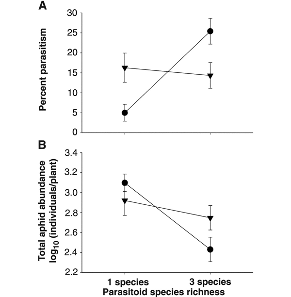 A — зависимость процента зараженных наездниками тлей (Percent parasitism) от числа видов наездников (Parasitoid species richness). B — зависимость десятичного логарифма суммарного обилия всех тлей (Total aphid abundance) на одном растении от числа видов наездников. Кружками обозначены сообщества, где разные группы наездников одного вида (там, где вид один — 1 species) или наездники разных видов (там, где видов три — 3 species) специализированы на разных видах тлей, а треугольниками — сообщества, где каждый вид наездников заражает все виды тлей. В сообществах с тремя специализированными видами наездников больший процент тлей оказывается заражен, чем в сообществах с тремя неспециализированными видами. Следовательно, специализация помогает разным видам наездников успешнее использовать имеющиеся пищевые ресурсы, и три специализированных вида наездников эффективнее контролируют численность тлей, чем три неспециализированных вида. В случае с единственным видом наездников разделение на специализированные группы только мешает эффективному потреблению ресурсов: наездники заражают больше тлей, если не специализируются на определенных видах жертв. Рис. из обсуждаемой статьи в Science