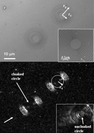 Рис. 1. Две структуры из концентрических колец с объектом внутри при освещении белым светом (вверху) и при пропускании «плоского света» с длиной волны 532 нм (внизу). Изображение из обсуждаемой статьи