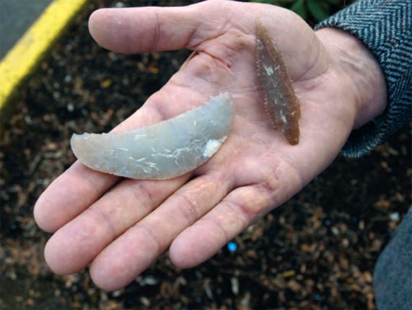 Серповидное орудие для ловли птиц и остроконечники для охоты на морского зверя и рыбу. Эти орудия были найдены на островах Чаннел близ побережья Калифорнии. Фото из обсуждаемой статьи Michael Balter в Science