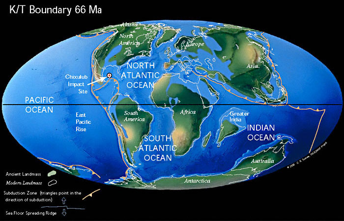 На рубеже мезозойской и кайнозойской эр (65,5 млн лет назад), когда вымерли динозавры, Индия представляла собой небольшой изолированный континент. Рис. с сайта www.scotese.com