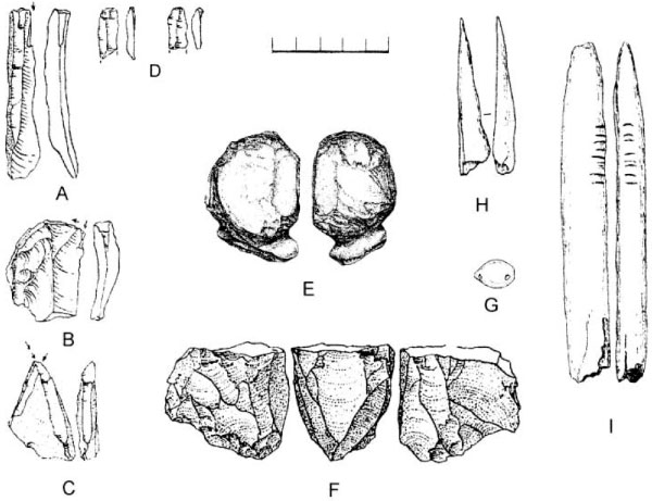 Древнейшие позднепалеолитические изделия из самого нижнего слоя стоянки Костенки-14. A–D, F — каменные изделия, Е — вырезанный из слоновой кости объект, возможно являющийся незаконченным скульптурным изображением человеческой головы, G — просверленная раковина моллюска, H, I — костяные изделия. Рис. из обсуждаемой статьи в Science