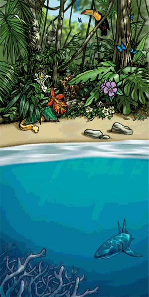 Рисунок M. Twombly из обсуждаемой статьи в Science, схематично показывающий контраст между видовым богатством суши и бедностью океана. Credit: M. Twombly/Science