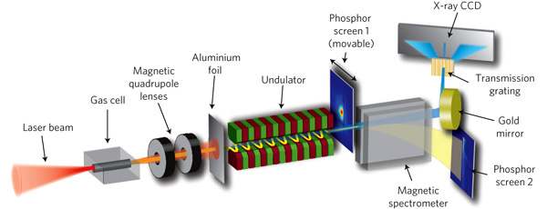 Рис. 3. Схематический рисунок настольного источника рентгеновского излучения. Сверхмощный лазерный импульс направляется в 1,5-сантиметровую емкость с водородом, из которой затем вырываются ультрарелятивистские электроны (механизм их ускорения описан в тексте). Образовавшийся электронный пучок фокусируется квадрупольными магнитными линзами. «Паразитное» излучение от плазмы и лазерный луч блокируются алюминиевой фольгой толщиной 15 мкм. Далее электронный пучок, прошедший через фольгу, попадает в ондулятор длиной 30 см и излучает узконаправленный рентгеновский луч (показан синим цветом). Полученное рентгеновское излучение отражается от золотого зеркала, затем направляется на дифракционную решетку и фиксируется с помощью ПЗС-камеры. Эти манипуляции необходимы для того, чтобы получить характеристики рентгена. Спектр излучивших электронов изучается с помощью фосфорных экранов. Рисунок из обсуждаемой статьи в Nature Physics